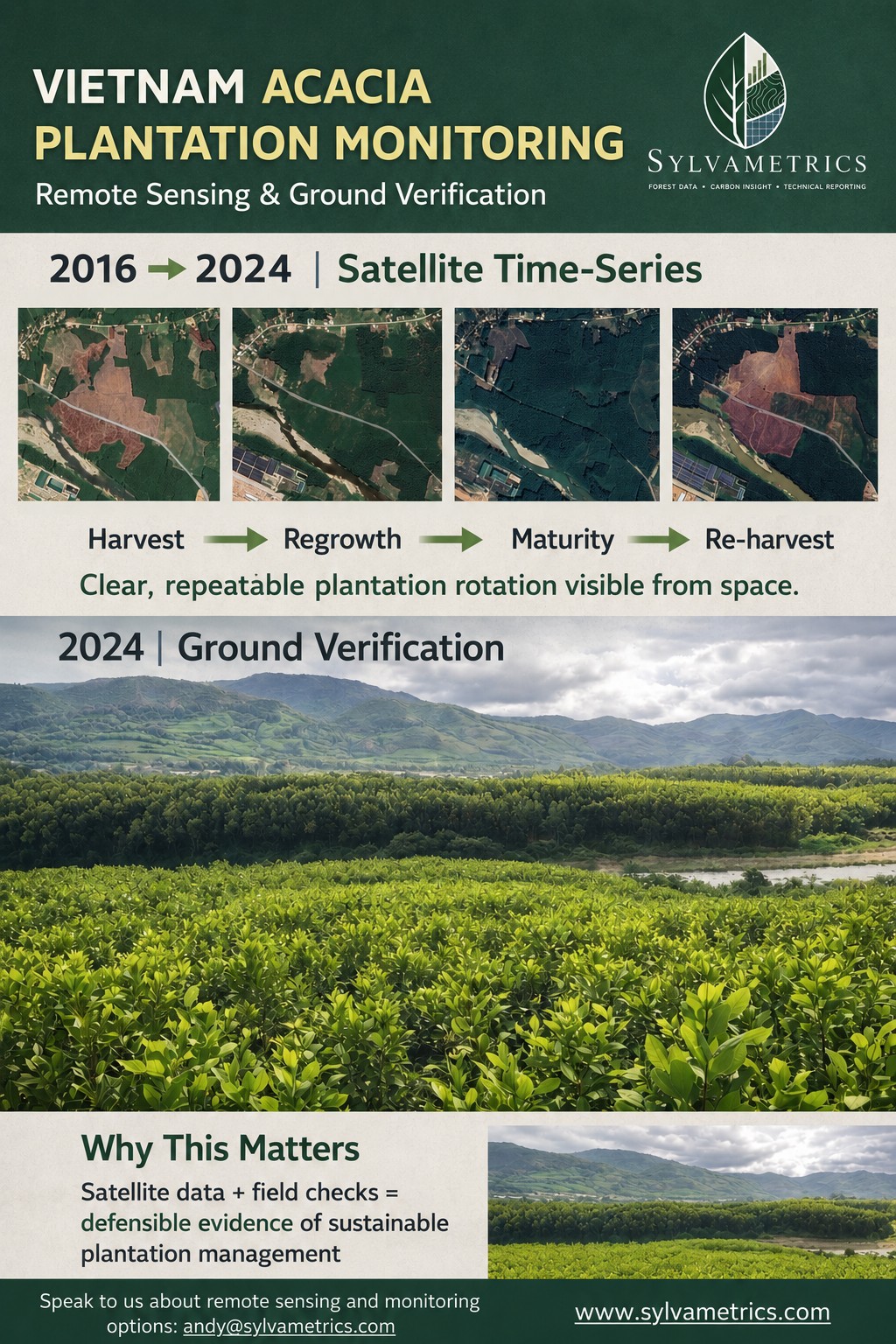 Vietnam acacia plantation monitoring satellite time series