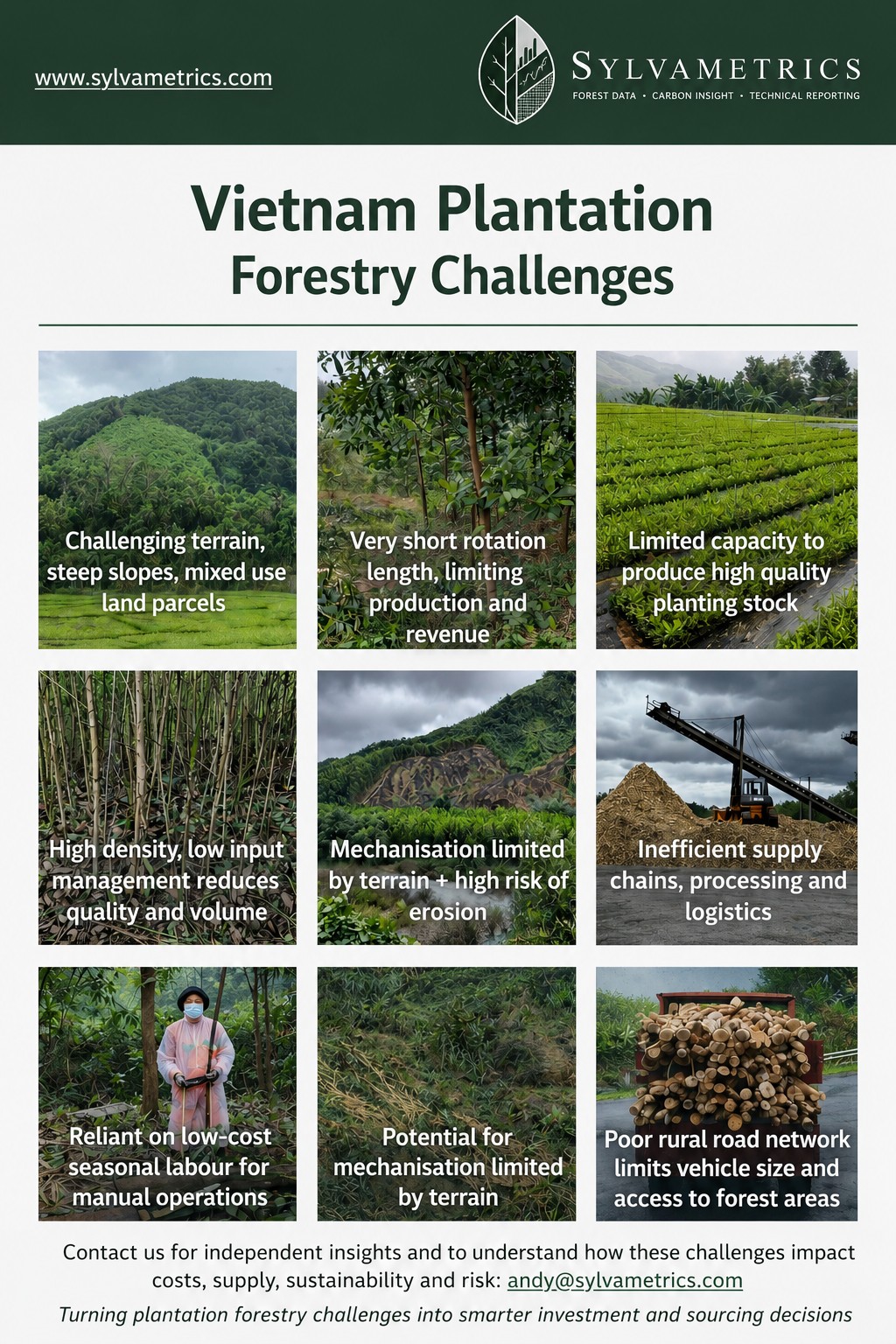 Vietnam plantation forestry challenges visual summary